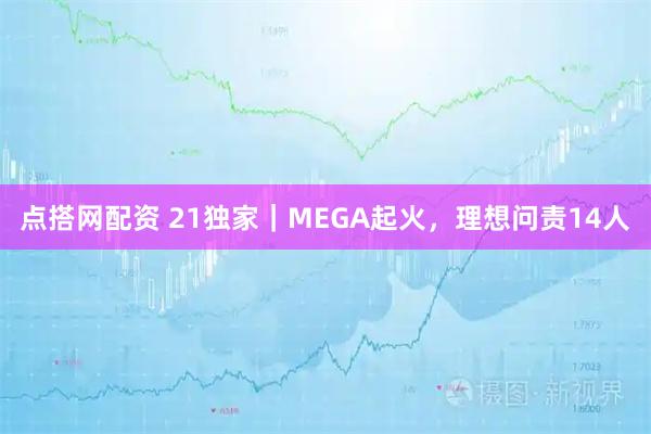 点搭网配资 21独家｜MEGA起火，理想问责14人