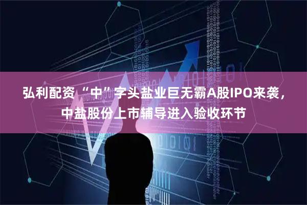 弘利配资 “中”字头盐业巨无霸A股IPO来袭，中盐股份上市辅导进入验收环节